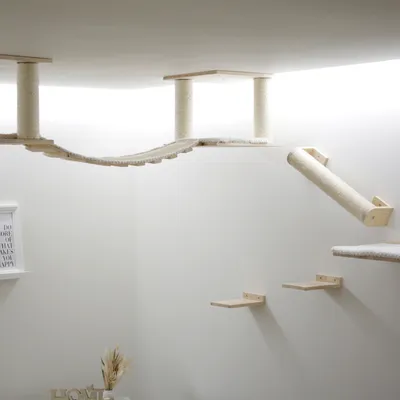 Wall-mounted climbing and play system made of wood with sisal-wrapped posts, hanging bridge and platforms. Suitable for ceiling mounting.