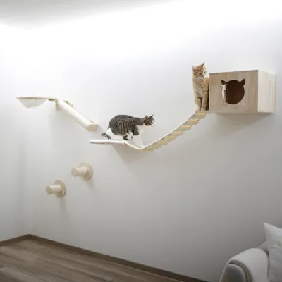 Wall-mounted climbing and play system made of wood with bridge, platforms and cave. Two cats demonstrate use of the system.