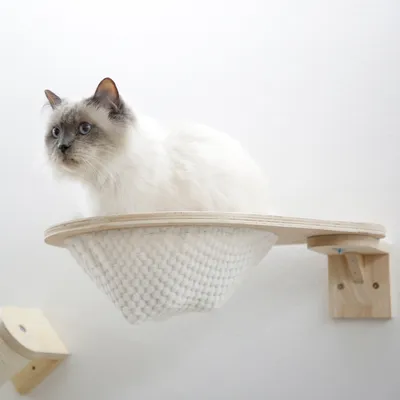 Wall-mounted cat lounger made of wood with white woven fabric. Cat sitting on it, looking forward.