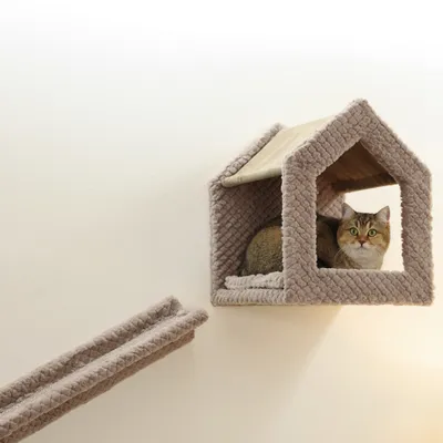 Katzenhaus aus weichem Stoff mit Rampe, beige. Katze sitzt im Haus und schaut heraus.