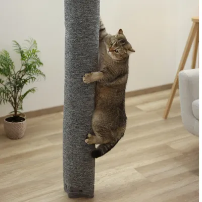 Chat adulte accroché à un grand griffoir cylindrique recouvert de tissu gris, posé sur un sol en bois dans un salon avec plante en pot et mobilier visible en arrière-plan.