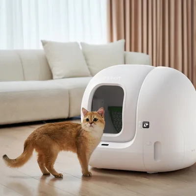 PETKIT automatická toaleta pro kočky v bílé barvě, s kočkou před ní. Moderní design, vhodná do interiéru. Viditelné ovládací prvky a otvor pro snadný přístup.