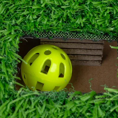 Yellow plastic ball in an area covered with artificial grass, surrounded by cardboard walls.