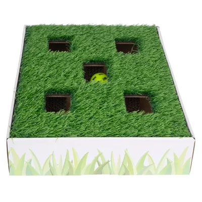 Toy box with green lawn design, five openings, and yellow ball visible in one of the openings.