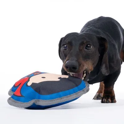 DC Superman hondenspeeltje