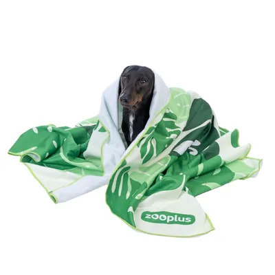 Cão com manta verde, estampada com padrão de folhas e logótipo Zooplus.