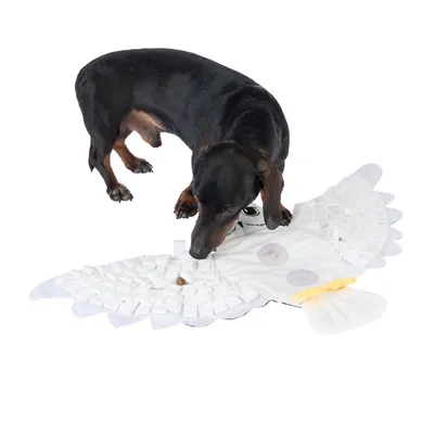Hund spielt mit einer weissen Schnüffelmatte in Form eines Vogels, geeignet zur Beschäftigung und Futtersuche.