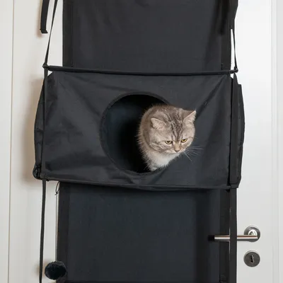 Zooplus Basics Nicchia con tiragraffi per gatti per porte