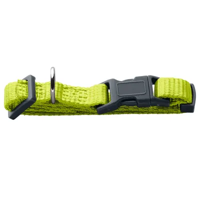 Neongelbes Halsband aus strapazierfähigem Nylon mit schwarzer Kunststoffschnalle und Metallring zur Befestigung.