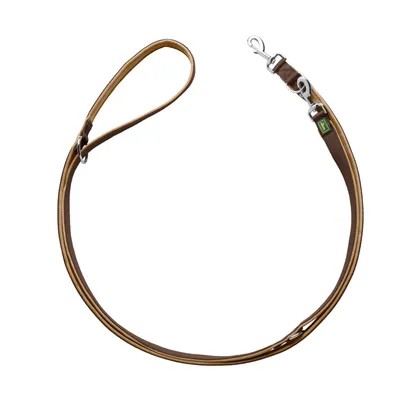 Braune Hundeleine mit verstellbarer Länge, Metallkarabiner und Schlaufe. Material aus robustem Stoff und Metall.