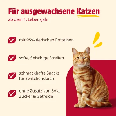 animonda Carny Adult Meaty Strips