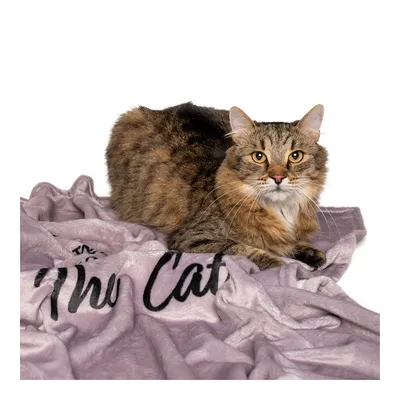Coperta TIAKI Home per gatti
