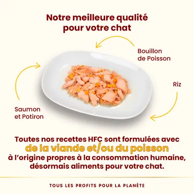 Assiette avec saumon, potiron, riz et bouillon de poisson. Texte : recettes HFC formulées avec viande et/ou poisson propres à la consommation humaine, désormais aliments pour chat.