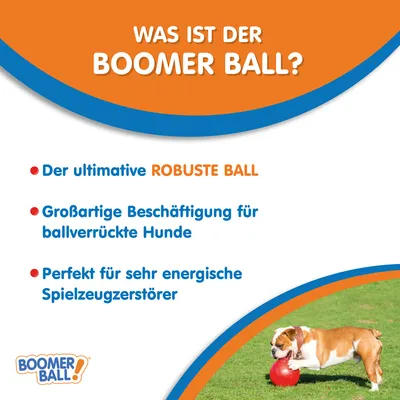 Boomer Ball: rendkívül strapabíró labda. Kiváló elfoglaltság labdaimádó kutyáknak. Ideális nagyon energikus játékrombolóknak.