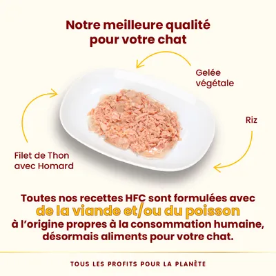 Filet de thon avec homard, gelée végétale et riz dans une assiette. Texte : toutes nos recettes HFC sont formulées avec de la viande et/ou du poisson propres à la consommation humaine.