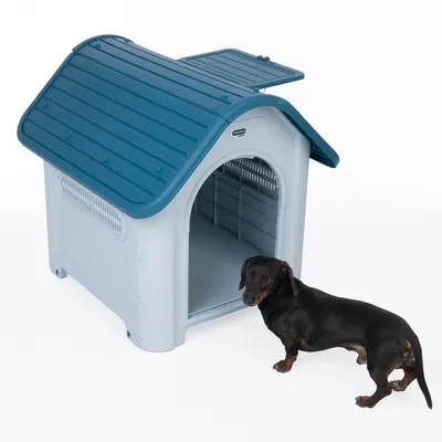 Plastová psí bouda s modrou střechou a ventilačními štěrbinami, otevřené střešní okno. Jezevčík stojí před boudou.