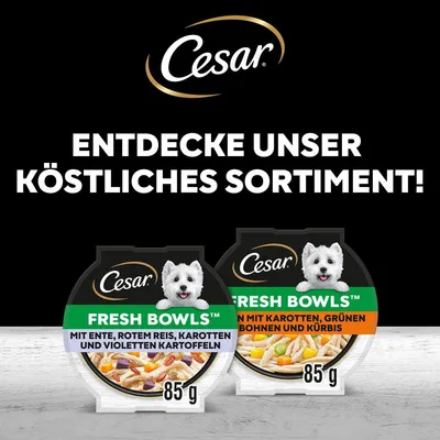 Cesar Fresh Bowls, 85g. Varieties: with duck, red rice, carrots and purple potatoes; with carrots, green beans and pumpkin.