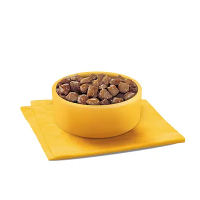 Ciotola gialla con pezzi di alimento umido marrone su tovaglietta gialla, immagine del prodotto per alimenti per animali. Ciotola gialla con pezzi di alimento umido marrone su tovaglietta gialla, immagine del prodotto per alimenti per animali.