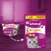 Whiskas Anti-Hairball 