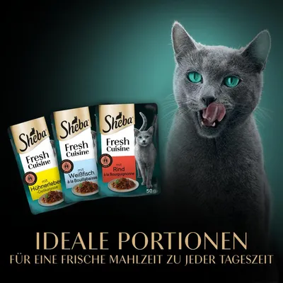 Sheba Fresh Cuisine mit Hühnereigen-Delikatesse, Weissfisch à la Bouillabaisse und Rind à la Bourguignonne. Ideale Portionen für eine frische Mahlzeit zu jeder Tageszeit.