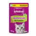 Whiskas Crunchy Pockets - cat snacks