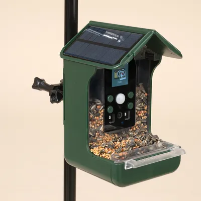 TIAKI Vogelfutterspender mit Kamera