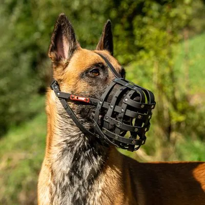 COLORI® 2.0 Herder muilkorf L, zwart COLORI® 2.0 Herder muilkorf L, zwart