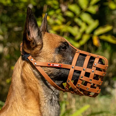 COLORI® 2.0 Maulkorb Schäferhund L, hellbraun