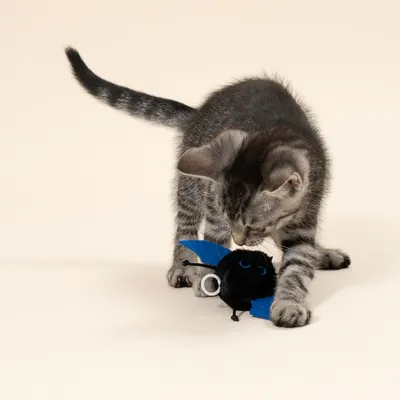 TIAKI gatto giocattolo vibrante pipistrello