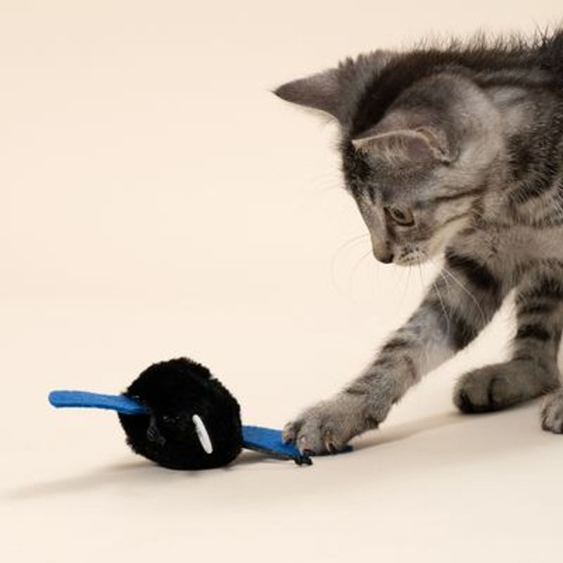 TIAKI kattenspeeltje vibrerende knuppel