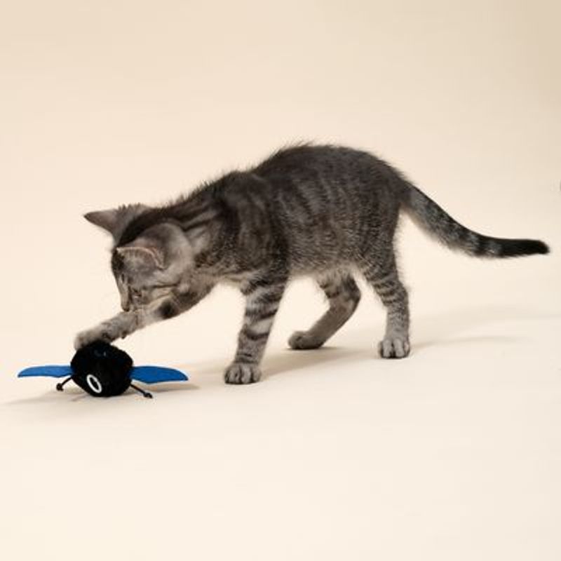 TIAKI kattenspeeltje vibrerende knuppel