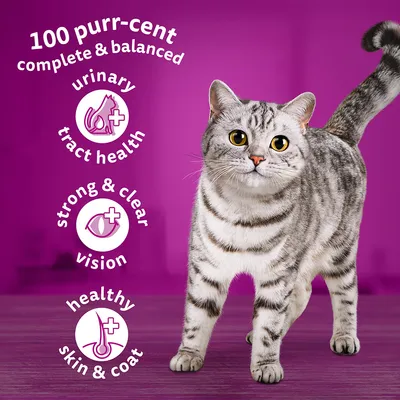 Text: 100 purr-cent complete & balanced, urinary tract health, strong & clear vision, healthy skin & coat. Šedá kočka na fialovém pozadí.