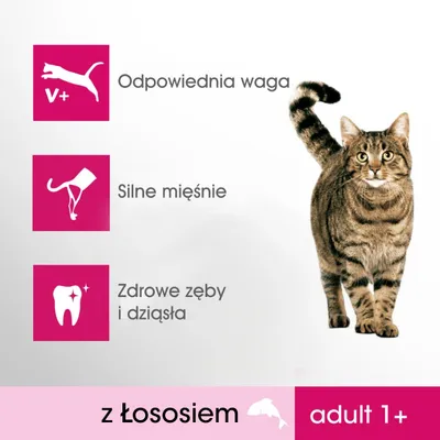 Odpowiednia waga, silne mięśnie, zdrowe zęby i dziąsła. Z łososiem. adult 1+. Obraz kota obok ikon i tekstu opisującego cechy produktu.