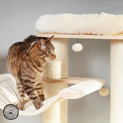 Tiragraffi per gatti con colonne in sisal, piattaforme e cuscini beige, palline pendenti. Gatto tigrato su amaca integrata. Materiali visibili: legno, tessuto, sisal.