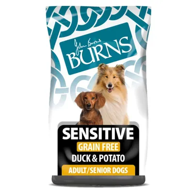 Burns Adult & Senior Sensitive canard et pomme de terre