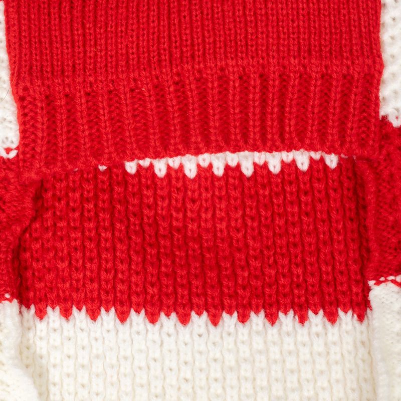 TIAKI Roter Streifen-Pullover für Hunde