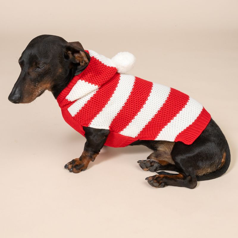TIAKI Roter Streifen-Pullover für Hunde
