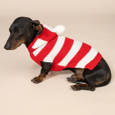 TIAKI Roter Streifen-Pullover für Hunde