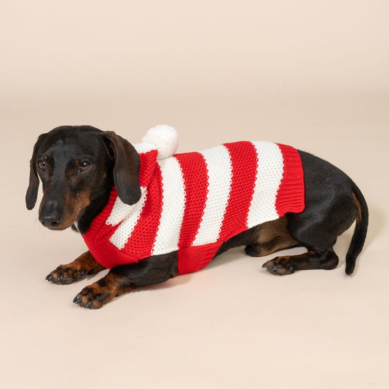 TIAKI Roter Streifen-Pullover für Hunde