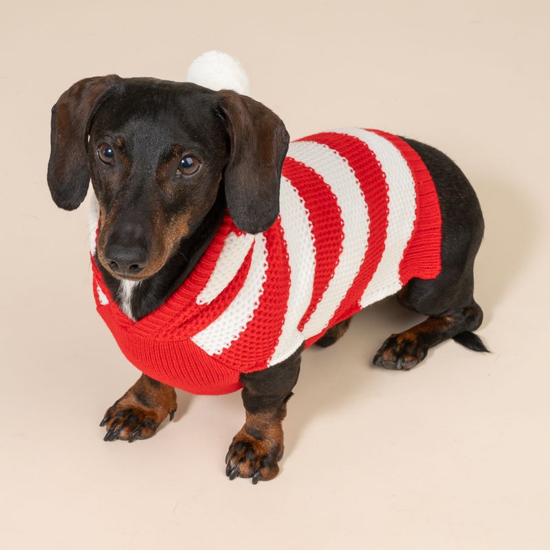 TIAKI Roter Streifen-Pullover für Hunde