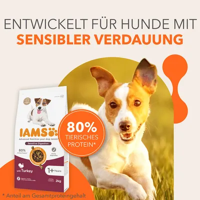 IAMS Hundefutter für sensible Verdauung, mit Truthahn, 80% tierisches Protein, geeignet für Hunde ab 1 Jahr. Packungsgrösse: 2kg.