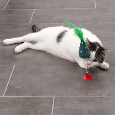 TIAKI Katzenspielzeug Weihnachtsbaum