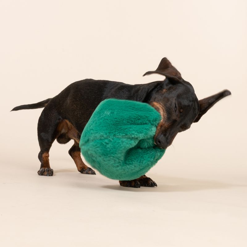 TIAKI Hundespielzeug Geschenkebaum