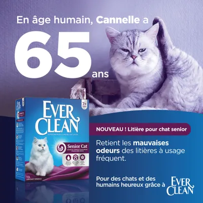 En âge humain, Cannelle a 65 ans. Ever Clean Senior Cat 7+ ans, litière pour chat senior. Retient les mauvaises odeurs des litières à usage fréquent. Nouveau !