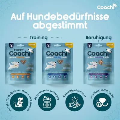 Coachi Natural Training Treats für Welpen und Hunde. Varianten: Huhn & Süsskartoffel, Fisch & Süsskartoffel, Truthahn & Süsskartoffel. Perfekt für ausgewogene Ernährung und vielseitig einsetzbar.