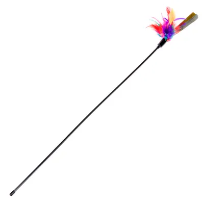 Baguette noire avec plumes multicolores fixées à une extrémité, sans marque visible ni texte, matériau plastique et plumes clairement identifiables.