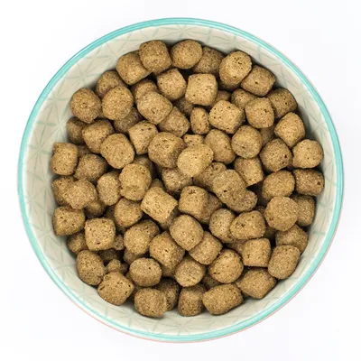 Bowl filled with dry, round pet food kibble pieces shown from above.