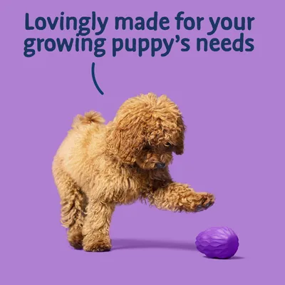 Text reads: Lovingly made for your growing puppy’s needs. Image shows a puppy interacting with a purple textured toy on a plain background.