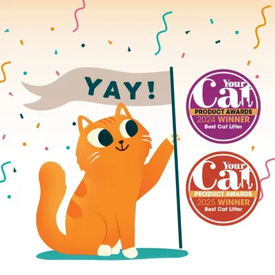 Your Cat Product Awards 2024 and 2025 winner badges for Best Cat Litter, shown with a cartoon cat holding a flag that says 'YAY!' and confetti in the background.
