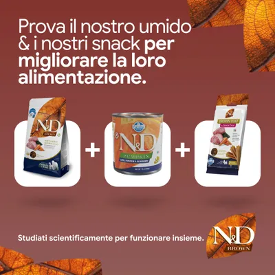 N&D Brown crocchette, N&D Pumpkin alimento umido e Brown Coat dental snack. Sviluppato scientificamente per una nutrizione ottimale.